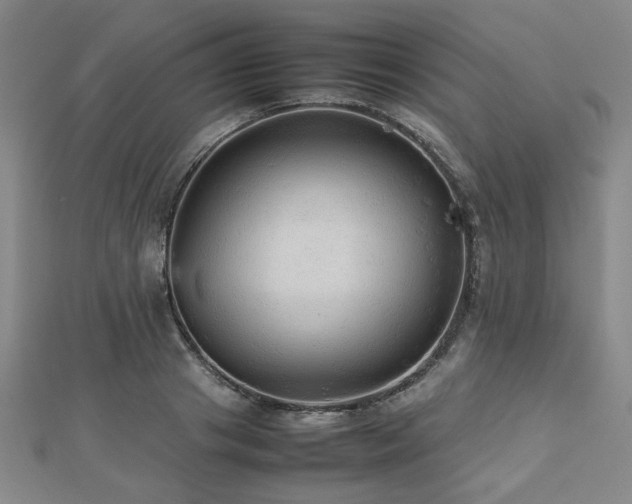 X0000112470841200908171156