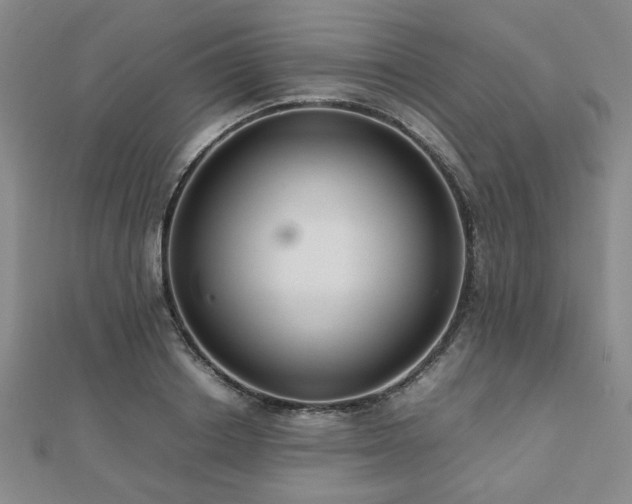 X0000112470842200908171156