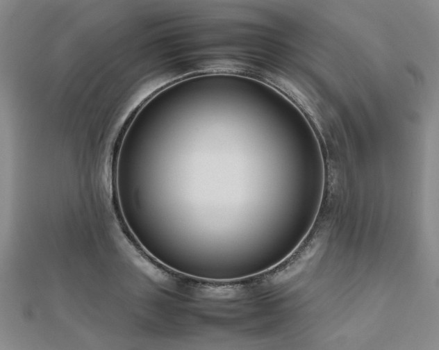 X0000112470843200908171156