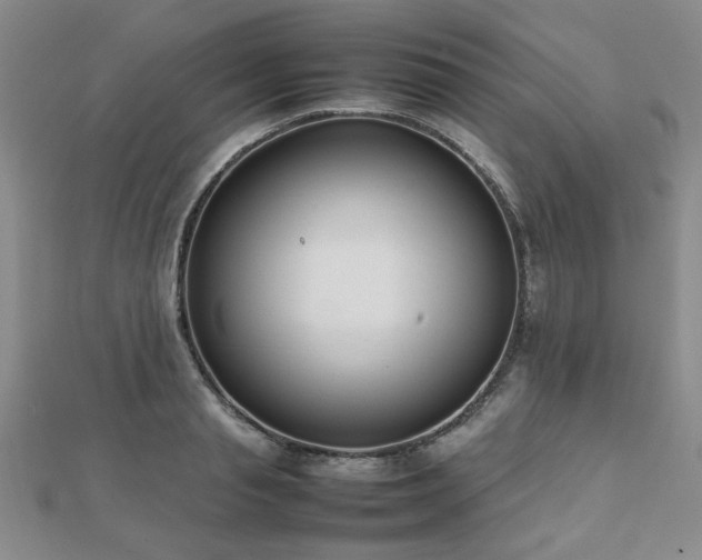 X0000112470845200908171156