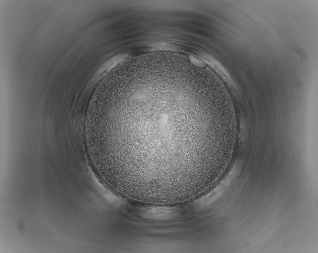 X0000112470849200908171156