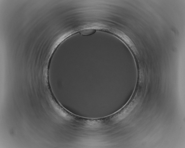 X0000112470850200908171156