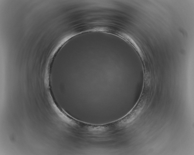 X0000112470851200908171156