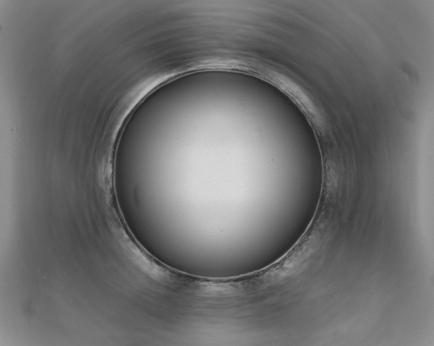 X0000112470852200908171156