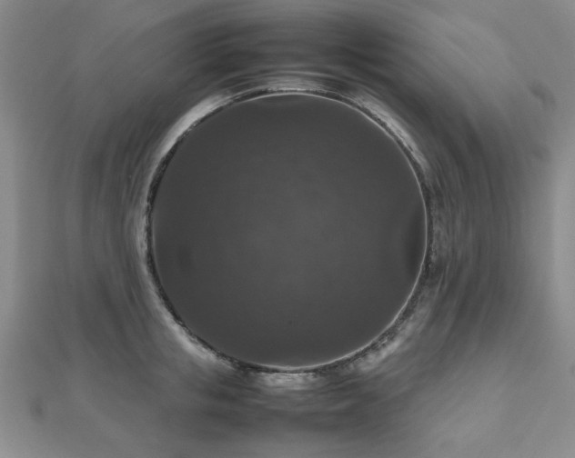 X0000112470853200908171156