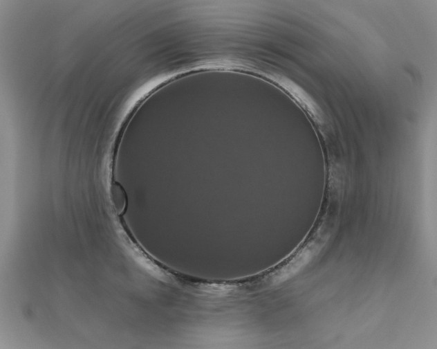 X0000112470854200908171156