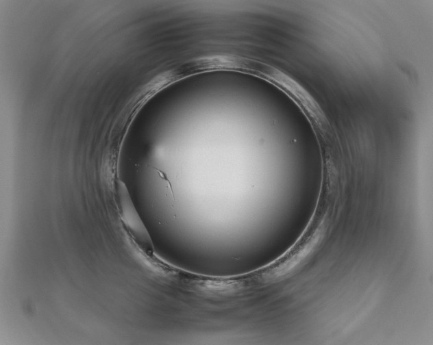 X0000112470857200908171157