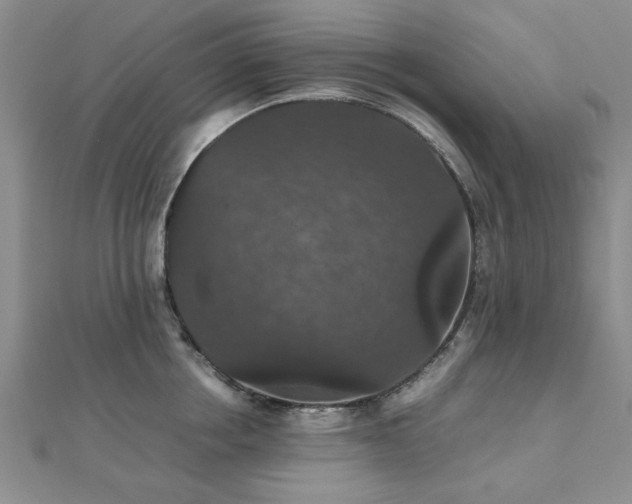 X0000112470858200908171157