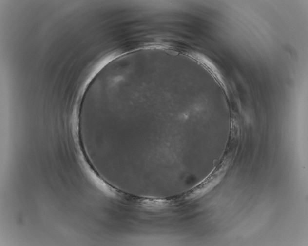 X0000112470859200908171157