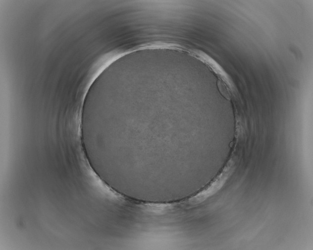 X0000112470860200908171157