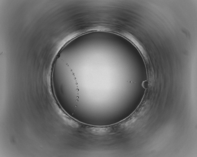 X0000112470861200908171157