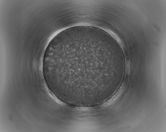 X0000112470862200908171157