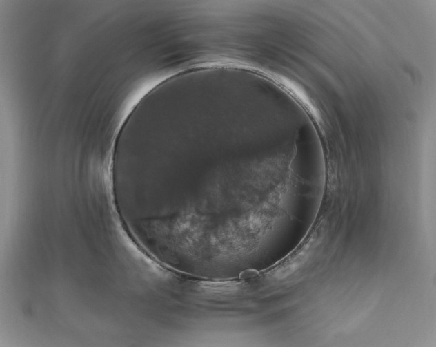 X0000112470863200908171157