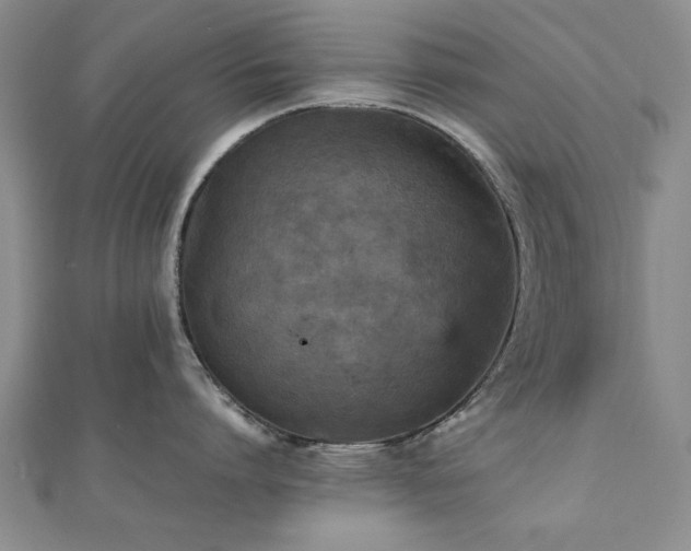 X0000112470864200908171157