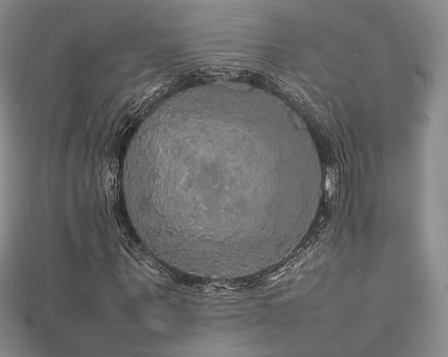 X0000112470867200908171156