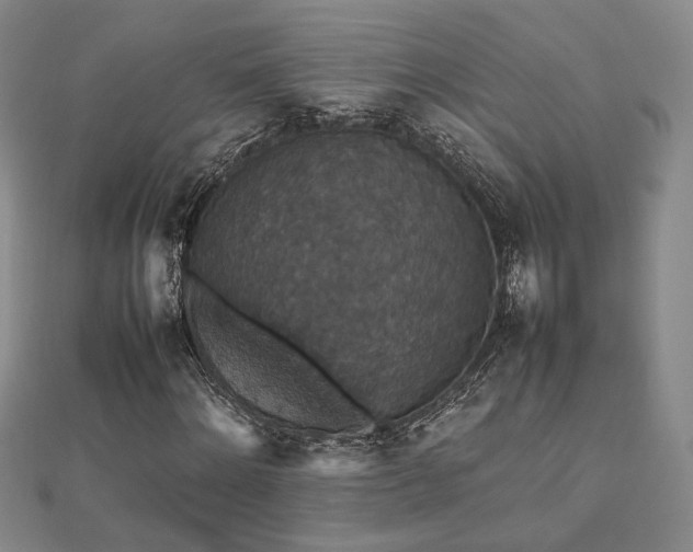 X0000112470868200908171156