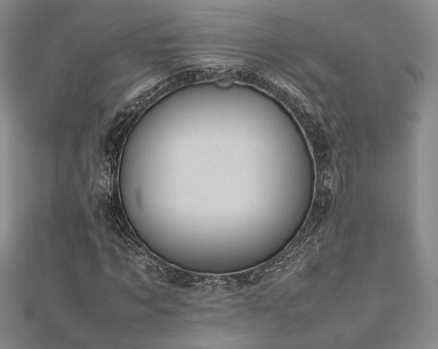 X0000112470869200908171156