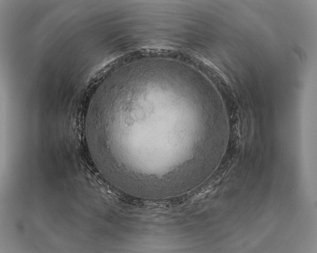 X0000112470870200908171156