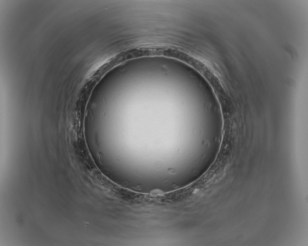 X0000112470871200908171156