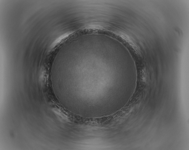 X0000112470872200908171156