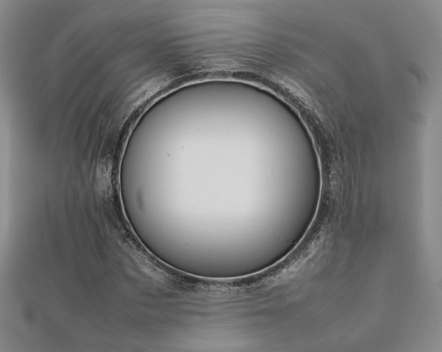 X0000112470873200908171156