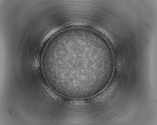 X0000112470874200908171156