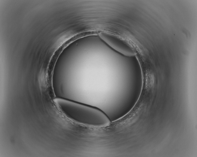 X0000112470876200908171156