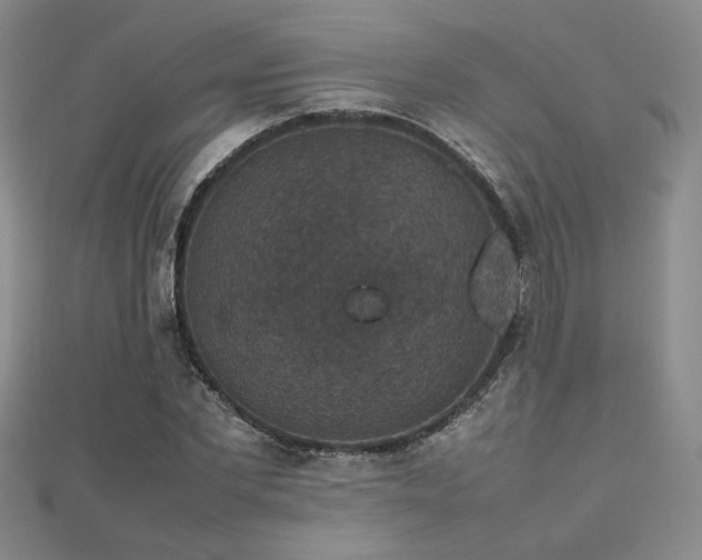 X0000112470877200908171156