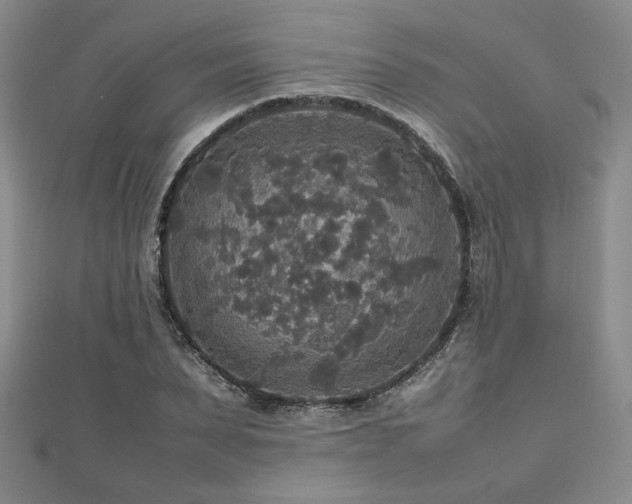 X0000112470879200908171156