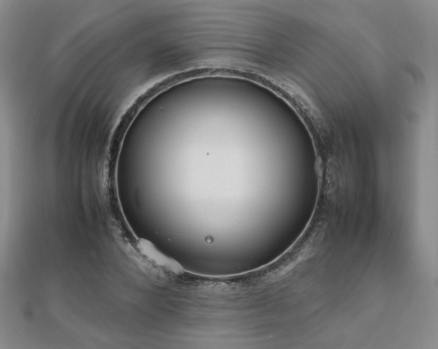 X0000112470880200908171156