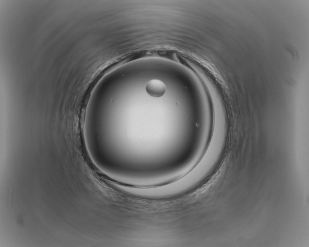 X0000112470881200908171156