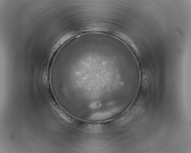 X0000112470882200908171156