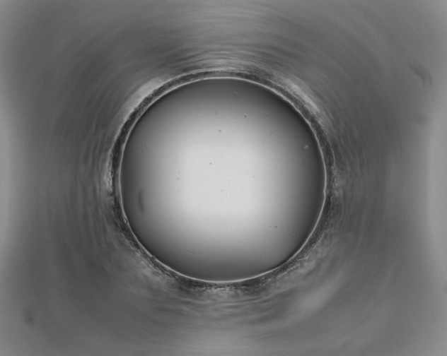 X0000112470883200908171156