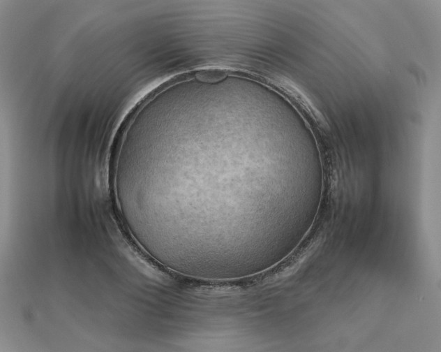 X0000112470884200908171156