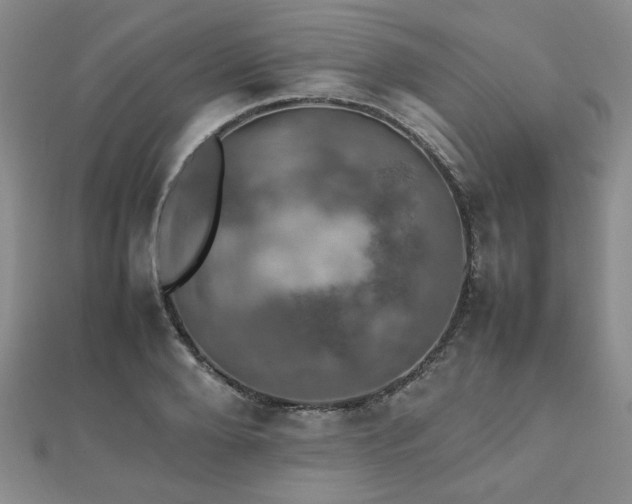 X0000112470888200908171156