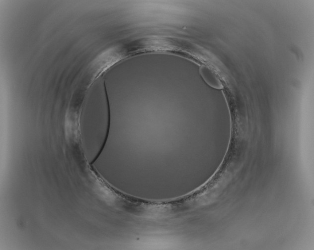 X0000112470889200908171156