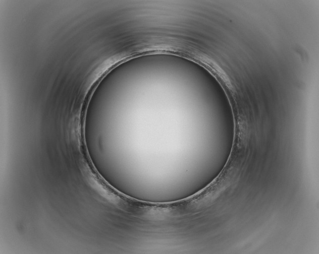 X0000112470890200908171156