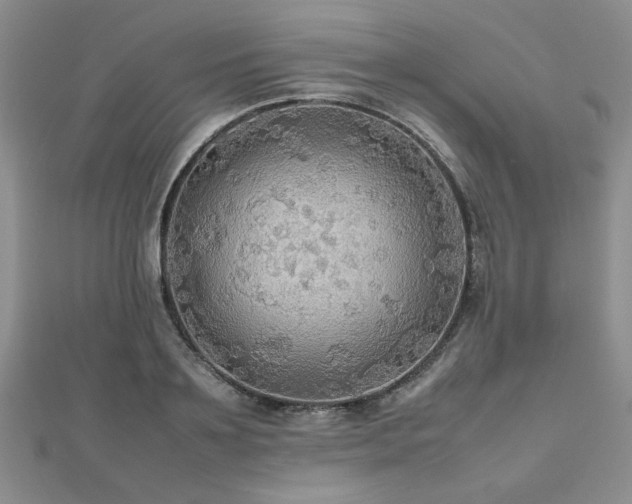 X0000112470891200908171156