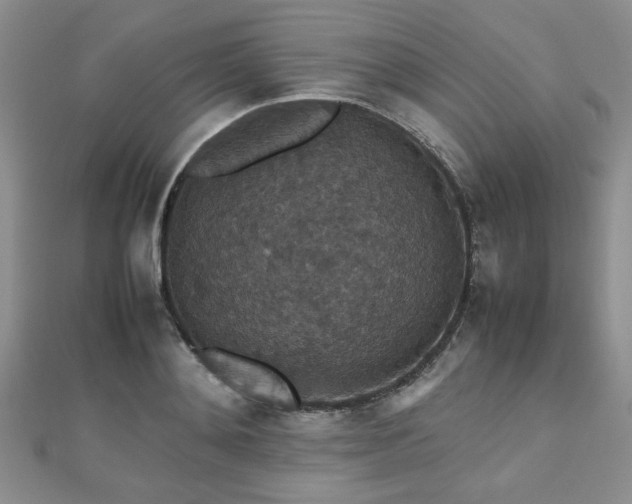 X0000112470892200908171156