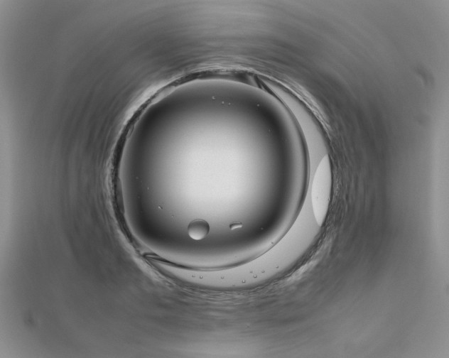 X0000112470893200908171156