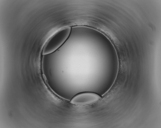 X0000112470894200908171156