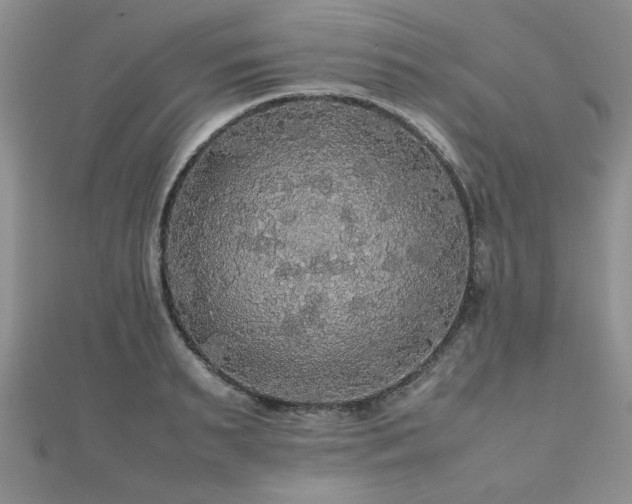 X0000112470895200908171156