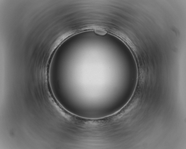 X0000112470898200908171156