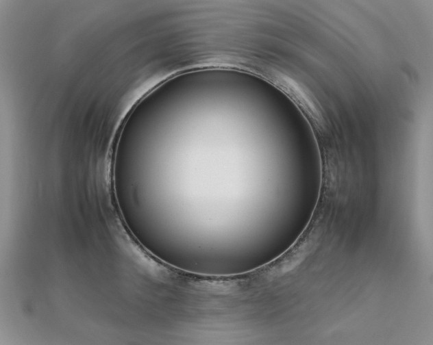 X0000112470900200908171156