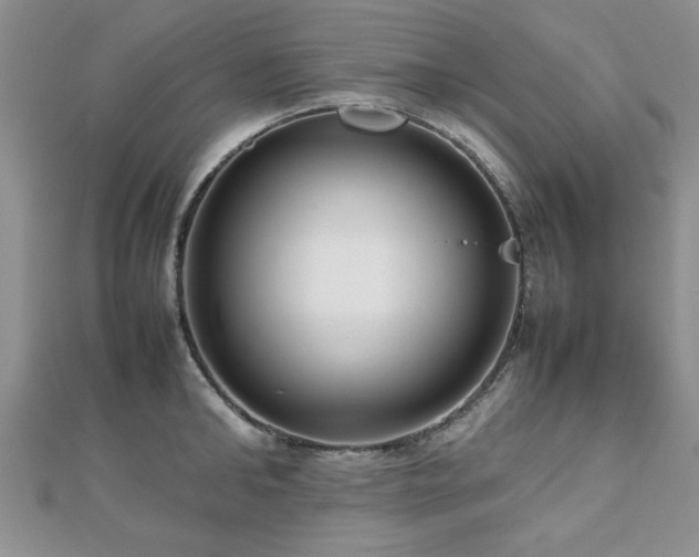 X0000112470902200908171156