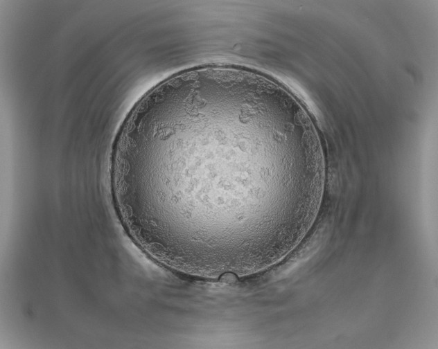 X0000112470903200908171155