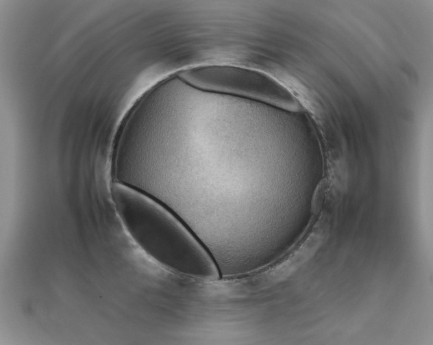 X0000112470904200908171155