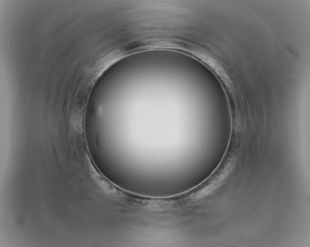 X0000112470905200908171155