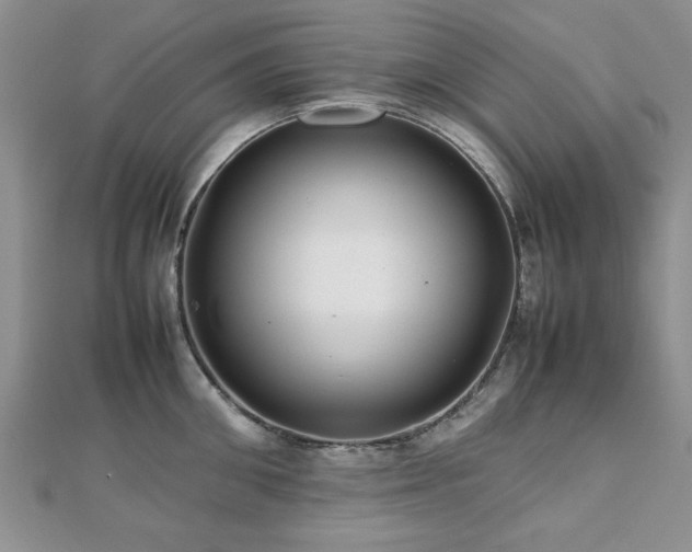 X0000112470906200908171155