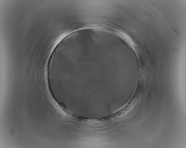 X0000112470907200908171155